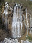 728-dsc00845.jpg.small.jpeg