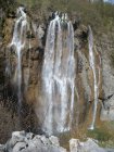 729-dsc00846.jpg.small.jpeg