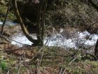 736-dsc00853.jpg.small.jpeg