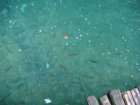 751-dsc00868.jpg.small.jpeg