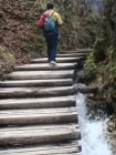 759-dsc00876.jpg.small.jpeg