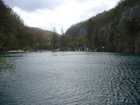 763-dsc00880.jpg.small.jpeg