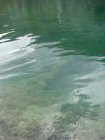 766-dsc00883.jpg.small.jpeg