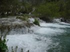 767-dsc00884.jpg.small.jpeg