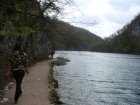 778-dsc00895.jpg.small.jpeg