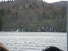 790-dsc00907.jpg.small.jpeg