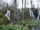 803-dsc00920.jpg.small.jpeg