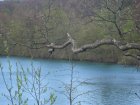 809-dsc00926.jpg.small.jpeg