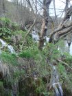 812-dsc00929.jpg.small.jpeg