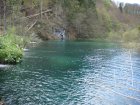 823-dsc00940.jpg.small.jpeg