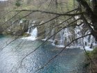 833-dsc00950.jpg.small.jpeg