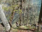 838-dsc00955.jpg.small.jpeg