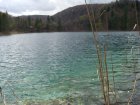 841-dsc00958.jpg.small.jpeg