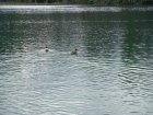 849-dsc00966.jpg.small.jpeg
