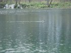 850-dsc00967.jpg.small.jpeg