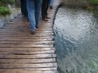 862-dsc00979.jpg.small.jpeg
