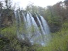 870-dsc00987.jpg.small.jpeg
