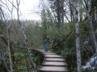 872-dsc00989.jpg.small.jpeg