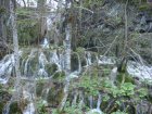 873-dsc00990.jpg.small.jpeg
