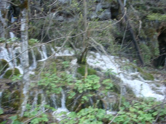 874-dsc00991.jpg.medium.jpeg