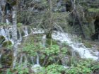 874-dsc00991.jpg.small.jpeg
