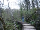 875-dsc00992.jpg.small.jpeg