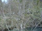 887-dsc01004.jpg.small.jpeg