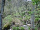 888-dsc01005.jpg.small.jpeg