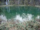 889-dsc01006.jpg.small.jpeg