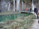 890-dsc01007.jpg.small.jpeg