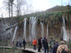 892-dsc01009.jpg.small.jpeg