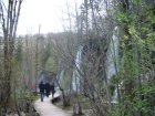 900-dsc01017.jpg.small.jpeg