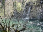 903-dsc01020.jpg.small.jpeg