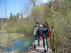 904-dsc01021.jpg.small.jpeg