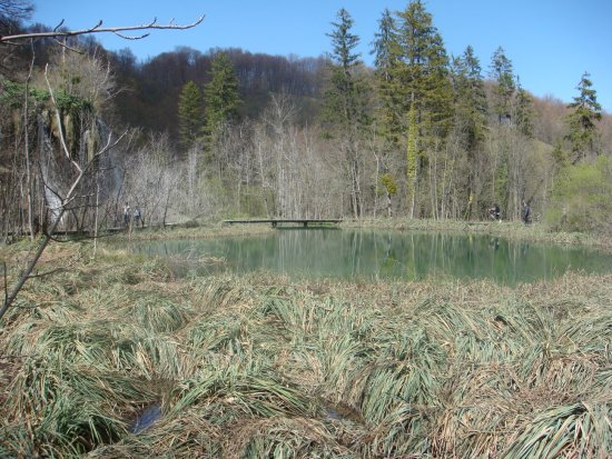 905-dsc01022.jpg.medium.jpeg