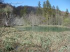 905-dsc01022.jpg.small.jpeg