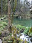 908-dsc01025.jpg.small.jpeg