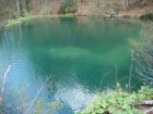 909-dsc01026.jpg.small.jpeg