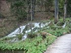 914-dsc01031.jpg.small.jpeg