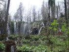 919-dsc01036.jpg.small.jpeg