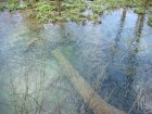 933-dsc01050.jpg.small.jpeg