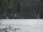 935-dsc01052.jpg.small.jpeg