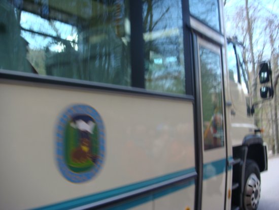 936-dsc01053.jpg.medium.jpeg