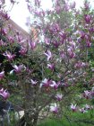 981-dsc01099.jpg.small.jpeg