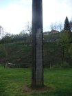 985-dsc01103.jpg.small.jpeg