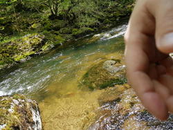 20170507_130201.jpg