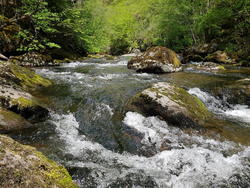 20170507_130219.jpg