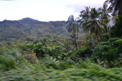 NKN_0291.JPG