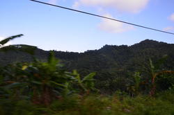 NKN_0294.JPG