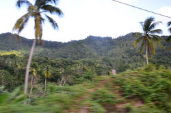NKN_0295.JPG